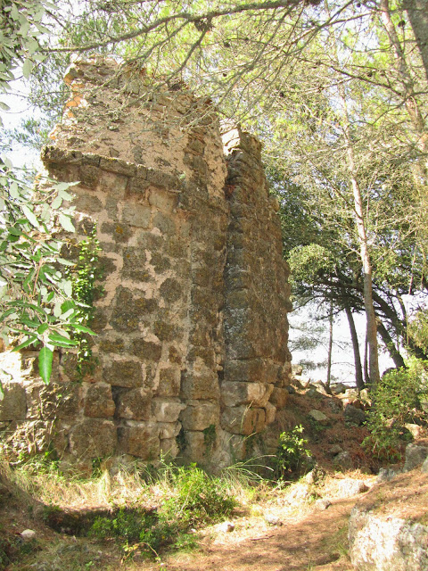 ALBÀ - CASTELL DE L'ALBÀ - ROCA FERRANA - MASOS I MASIES, restes del Castell de l'Albà