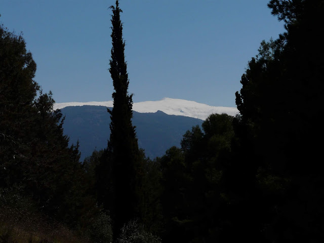 View coming down from Silla del Moro, Granada