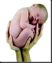 clip_image009_thumb