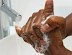 Getting The Best Out Of Your Hands Washing Therapy