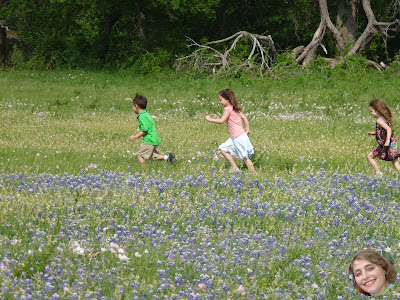 A Touch of Texas: bluebonnet paintings