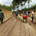 TNI dan warga masih berjibaku bergotong-royong di program TMMD Kodim Pati