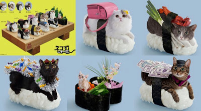 Foto-foto Sushi kucing