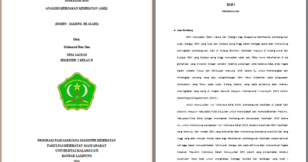 Contoh Makalah SDM Tentang Analisis Kebijakan Kesehatan 