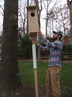 wood duck house plans