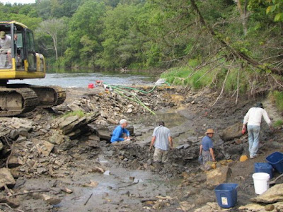 Kalajengking Laut Prasejarah Ditemukan di Iowa