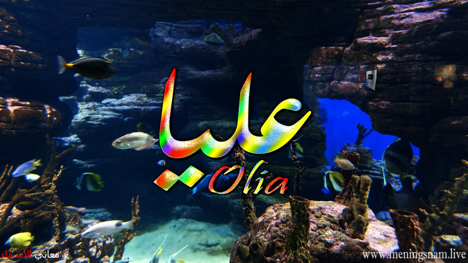 معنى اسم, عليا, وصفات, حاملة, هذا الاسم, Olia,