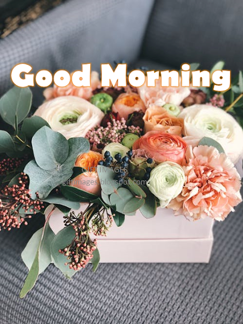 Good Morning Flowers images