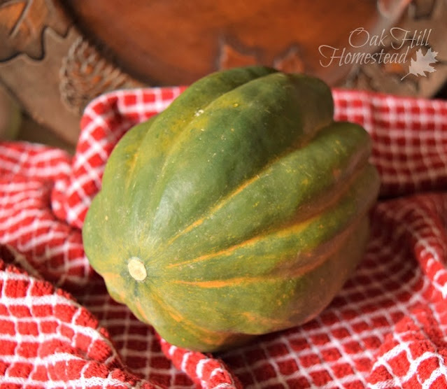 Acorn squash