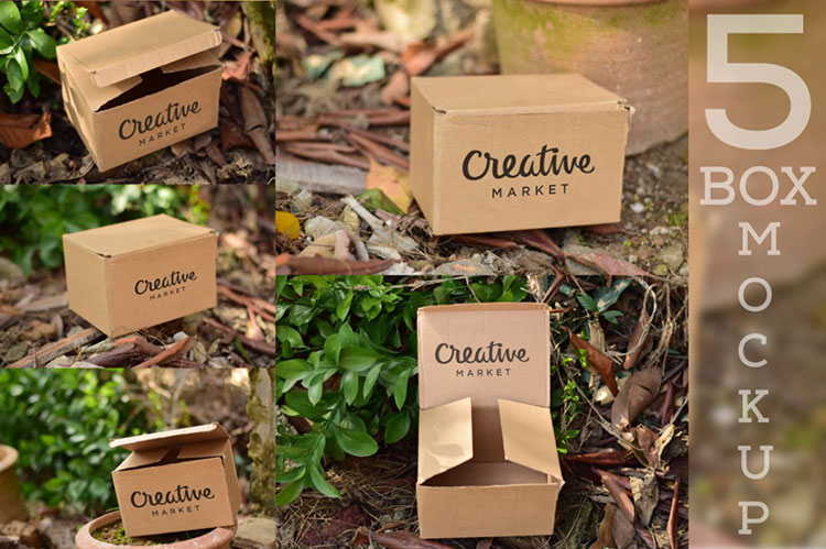 5 Cardboard Mockup PSD