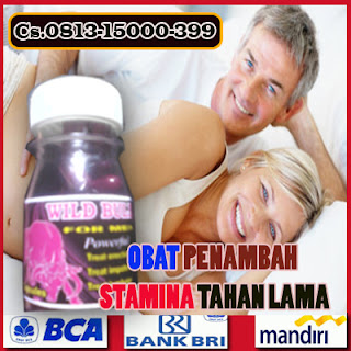 OBAT PENAMBAH STAMINA NOMER WAHID