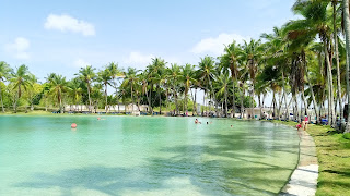 Vista de palmeras y piscina natural aguas termales