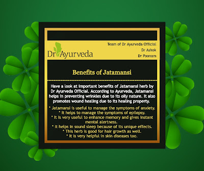 Jatamansi herb benefits by Dr Ayurveda Official