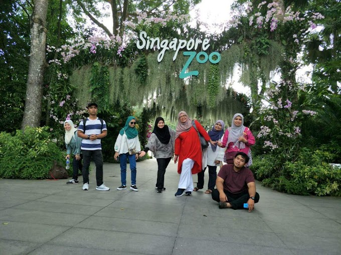 Things To Do In Singapore : Singapore Zoo