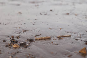 Brancaster beach in winter 