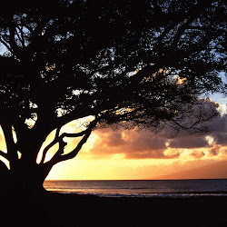 matahari terbenam, sunset