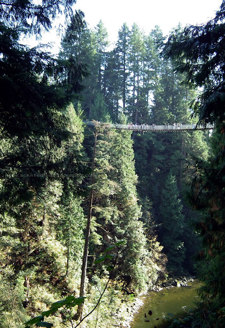 Capilano Suspension Bridge and the Canyon of Capilano River 