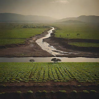 Applying Ecological Principles: Solarization and Land Sorting for Soil and Water Conservation