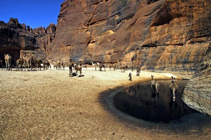 The Guelta d’Archei is probably the most famous guelta in the Sahara