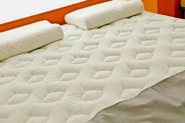 Importance of cleaning and of disinfecting the mattress How to clean and to disinfect Effects of the mites on health