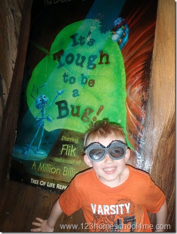 Animal Kingdom - It's a Bug;s Life 3D Show