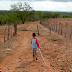 Programa de combate à desertificação começou a ser implantado no Piauí