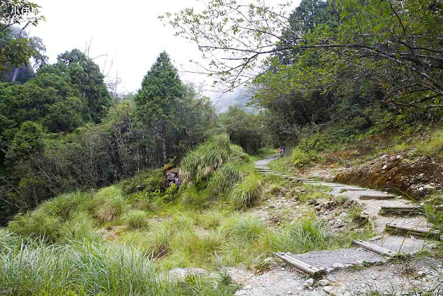 宜蘭太平山翠峰湖環山步道