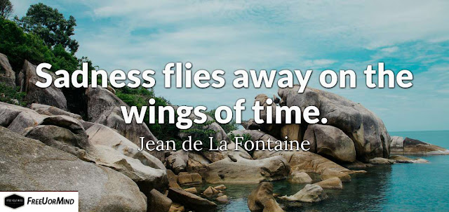 Sadness flies away on the wings of time.  - Jean de La Fontaine