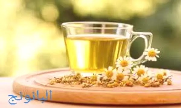 البابونج