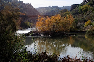 rio tajo, toledo, españa, puente , paisaje castellano, Munimara, otoño,