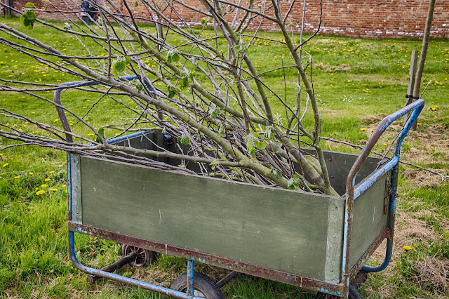 gardening career wheelbarrow