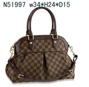 Louis Vuitton Canvas Handbags