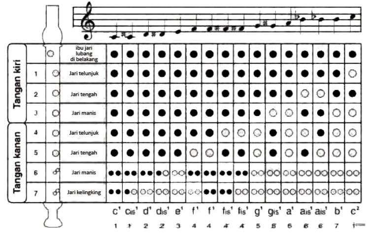  Alat  Musik  Recorder Dan Cara Memainkannya Berbagai Alat 