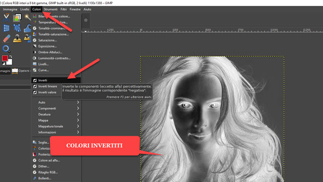 applicare i colori invertiti alla foto