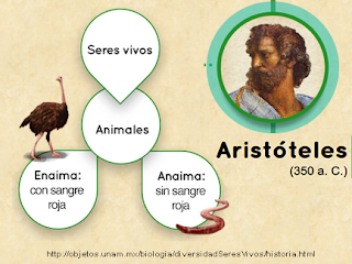 http://objetos.unam.mx/biologia/diversidadSeresVivos/historia.html