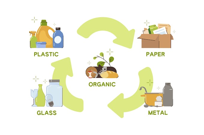 What You Need to Know about Organic Recycling