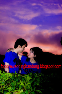 prewedunik