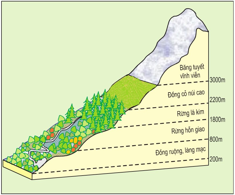 Mô phỏng sự phân bố các vành đai thực vật theo độ cao địa hình