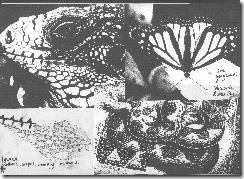 ch 4 4