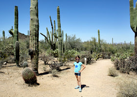 Tessa on the trail to Valley View Overlook at Saguaro National Park - West.