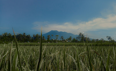 Tempat Wisata di Tasikmalaya Terbaru yang lagi Hits 2022