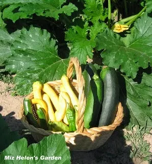 October Food and Recipe Basket: 2023 at Miz Helen's Country Cottage