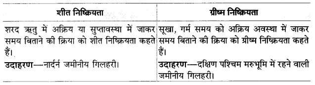 Solutions Class 12 जीव विज्ञान Chapter-13 (जीव और समष्टियाँ)