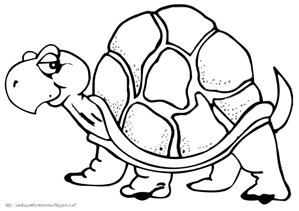 Gambar Mewarnai Kura-kura Untuk Anak PAUD dan TK
