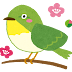 画像 うぐいす イラスト かわいい 191631-うぐいす イラスト かわいい