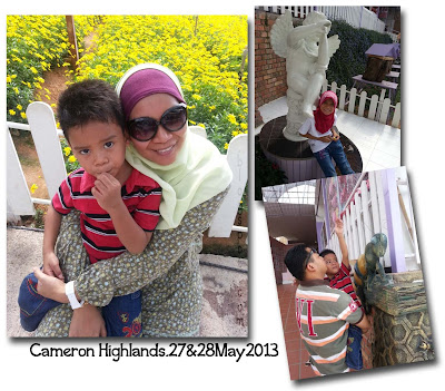 Lavender Garden, Cameron Highlands