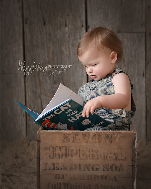 One Year old Baby Boy reading a book Dr. Seuss Theme milestone session DeKalb, IL newborn Photographer