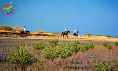 Nabq Reserve - Sharm El Sheikh