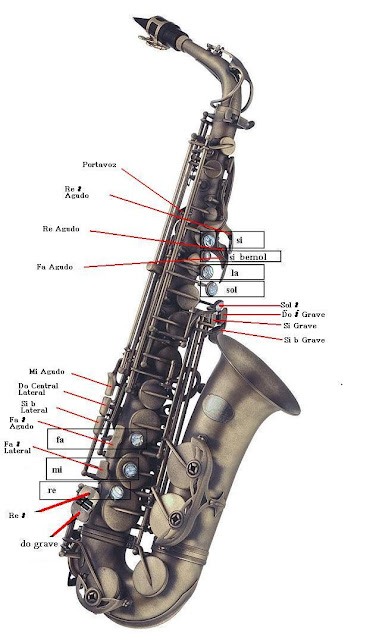 Imagen Digitación del Saxofón Saxophone sax