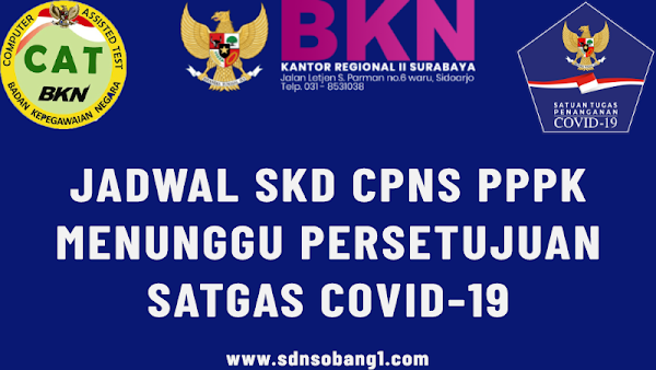 Jadwal SKD CPNS dan Seleksi Kompetensi PPPK